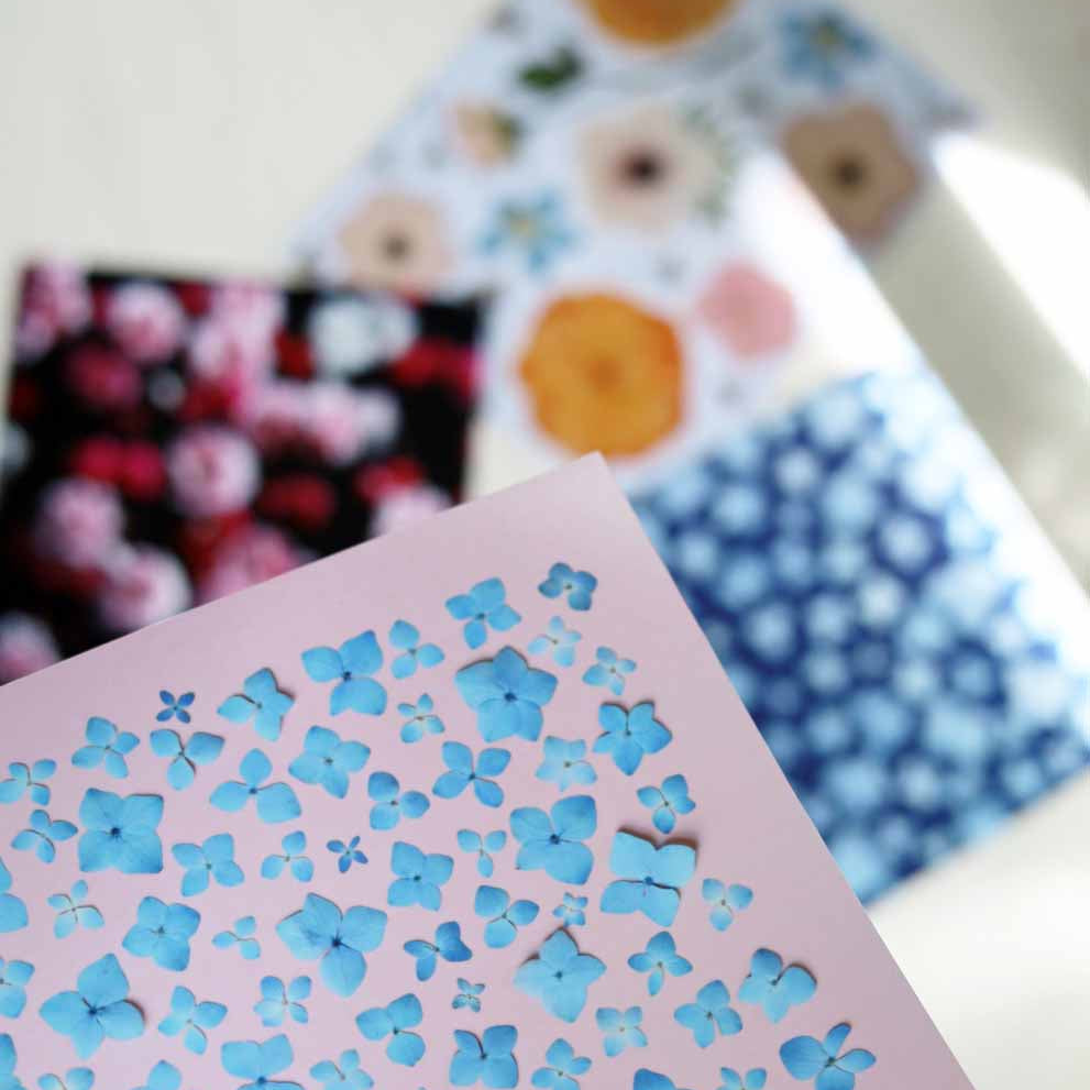 Floral Art Prints for Everyday