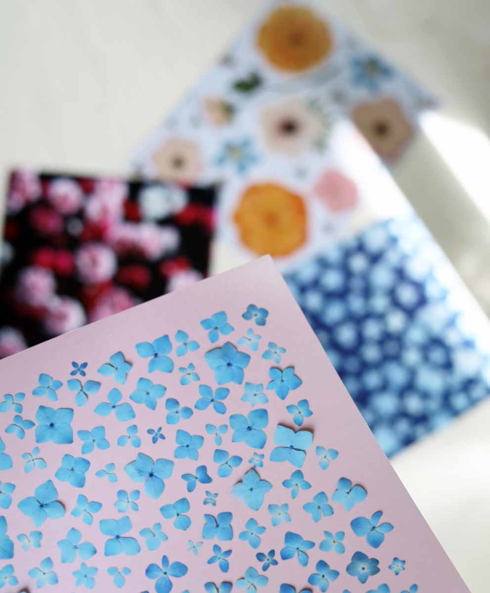 Floral Art Prints for Everyday