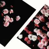 8x10 Small Moments Print Bundle