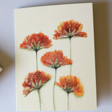 Greeting Card Subscription